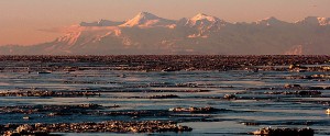 Turnagain Arm Sea Ice | Alaskafoto - Alaska aircraft portrait photographer & Alaska photography