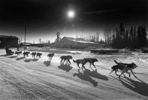 1987 Butcher McGrath | Alaskafoto - best Environmental portrait & Alaska portrait photographers