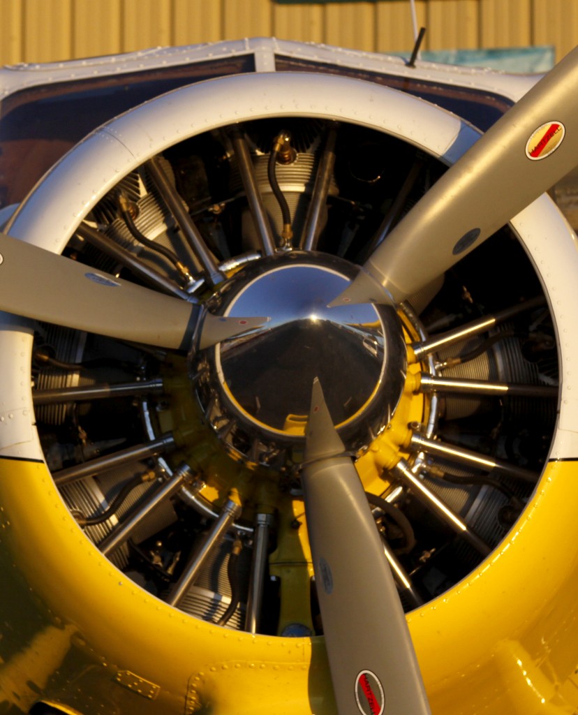 DeHavilland Beaver engine - Portrait Photographer & Aircraft Photography l Alaskafoto - Alaska Air Cargo