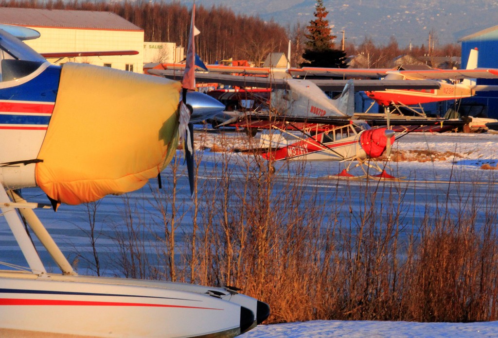 Floatplane & ski planes at PALH - Alaska Photography & Alaska Air Cargo l Alaskafoto - portrait photographer